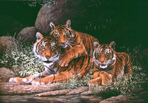 Tiger Eyes